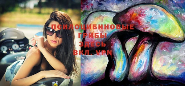 эйфоретик Армянск